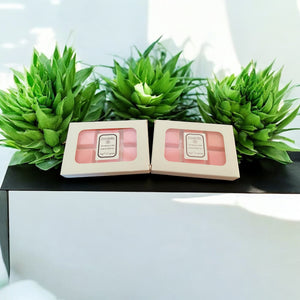 Strawberry Silk Wax Melts