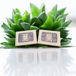 Candy Pardise Wax Melts
