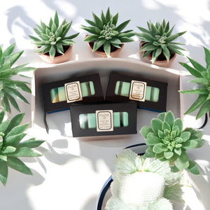Tranquil Mint Therapy – Scented Soy Wax Melts