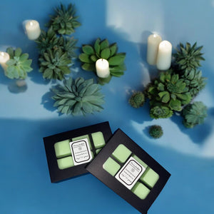 Enchanted Earth Wax Melts